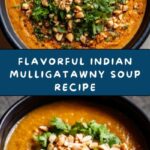 Indian Mulligatawny Soup Recipe