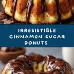 Cinnamon-Sugar Donuts with Chocolate Drizzle Recipe