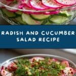 Radish and Cucumber Salad Recipe