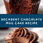 Chocolate Mug Cake Recipe