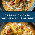 Creamy Chicken Tortilla Soup Recipe