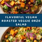 Vegan Roasted Veggie Orzo Salad Recipe