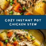 Hearty Instant Pot Chicken Stew Recipe
