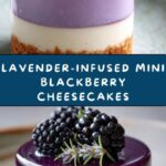 Mini Blackberry Lavender Cheesecakes Recipe