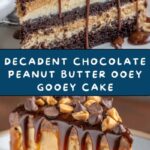 Chocolate Peanut Butter Ooey Gooey Cake Recipe