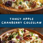 Apple Cranberry Coleslaw Recipe
