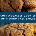 Grandma’s Irresistibly Soft Molasses Cookies Recipe