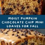 Pumpkin Chocolate Chip Mini Loaves Recipe