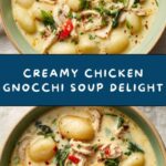 Creamy Chicken Gnocchi Soup Recipe