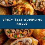 Spicy Beef Dumpling Rolls Recipe