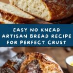 Best No Knead Artisan Bread Recipe