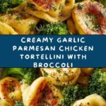 Creamy Garlic Parmesan Tortellini with Chicken & Broccoli Recipe