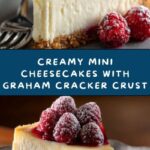 Mini Cheesecakes Recipe