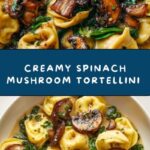 Creamy Spinach Mushroom Tortellini with Caramelized Onions Recipe