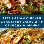 Asian Chicken Cranberry Salad Recipe