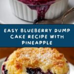 Blueberry Dump Cake Recipe
