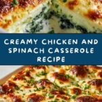 Creamy Chicken and Spinach Casserole: A Delicious Comfort Dish Recipe