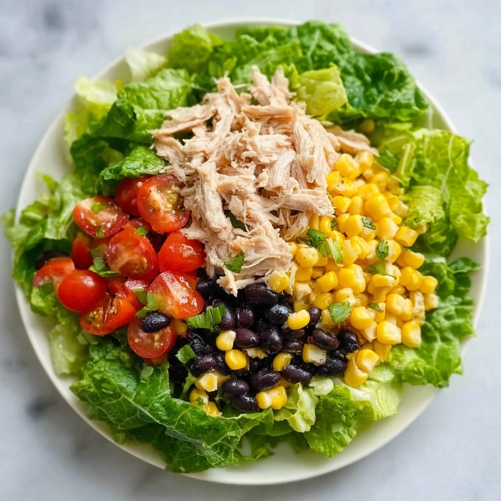 Quick Southwest Chicken Salad Recipe - Recipe Image