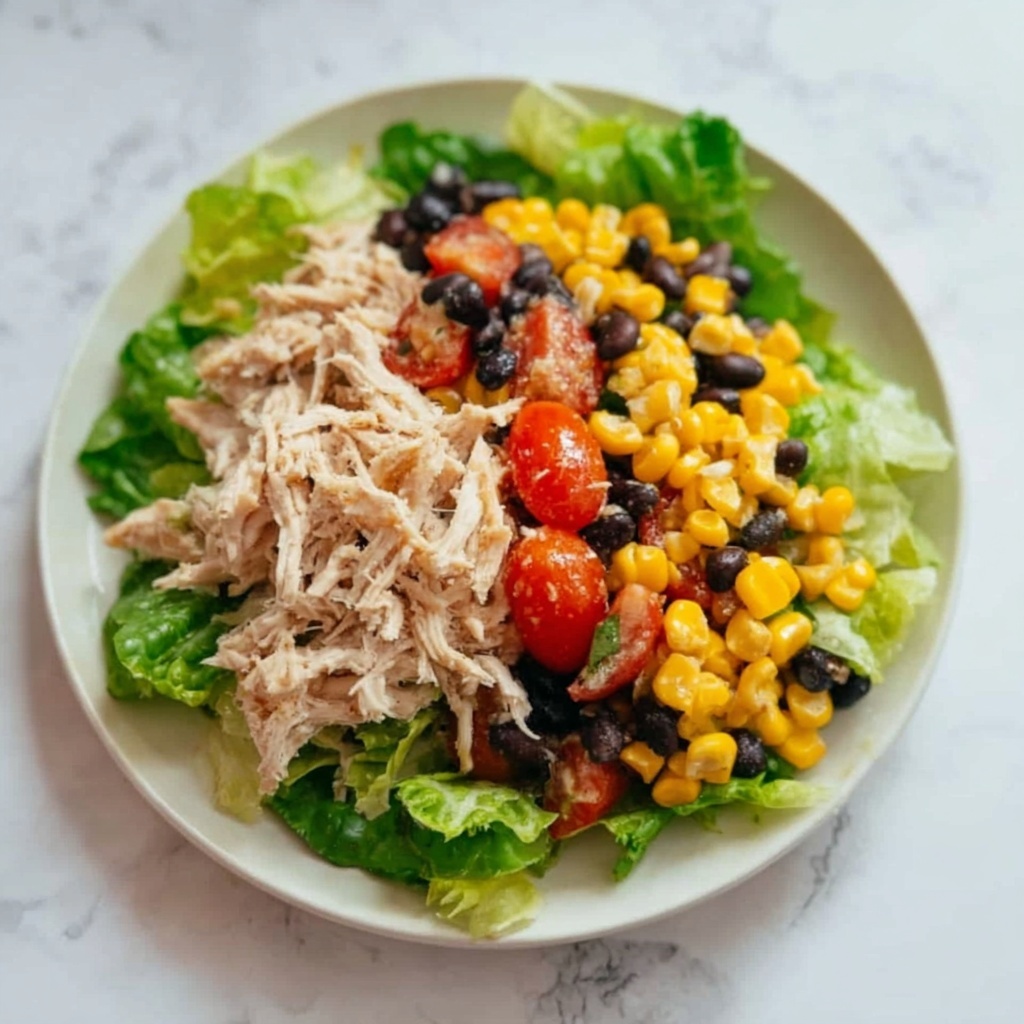 Quick Southwest Chicken Salad Recipe - Recipe Image